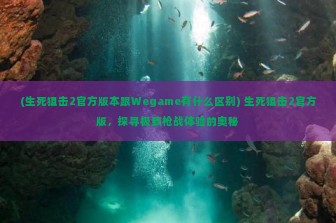 (生死狙击2官方版本跟Wegame有什么区别) 生死狙击2官方版，探寻极致枪战体验的奥秘