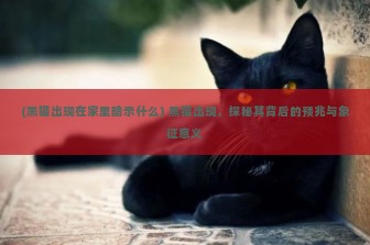 (黑猫出现在家里暗示什么) 黑猫出现，探秘其背后的预兆与象征意义